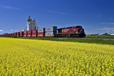 A train carrying containers passes a canola field and inland grain terminal