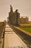 Rail cars being loaded at an inland grain terminal