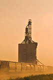 Rail hopper cars at an inland grain terminal