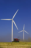 A combine harvests canola among wind turbines