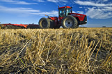 Close-up of grain stubble with equipment cultivating in the background