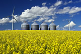 Grain bins and wind turbines in a blooming canola field