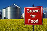 Sign next to canola field