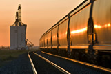 Moving rail hopper cars with inland terminal in the background